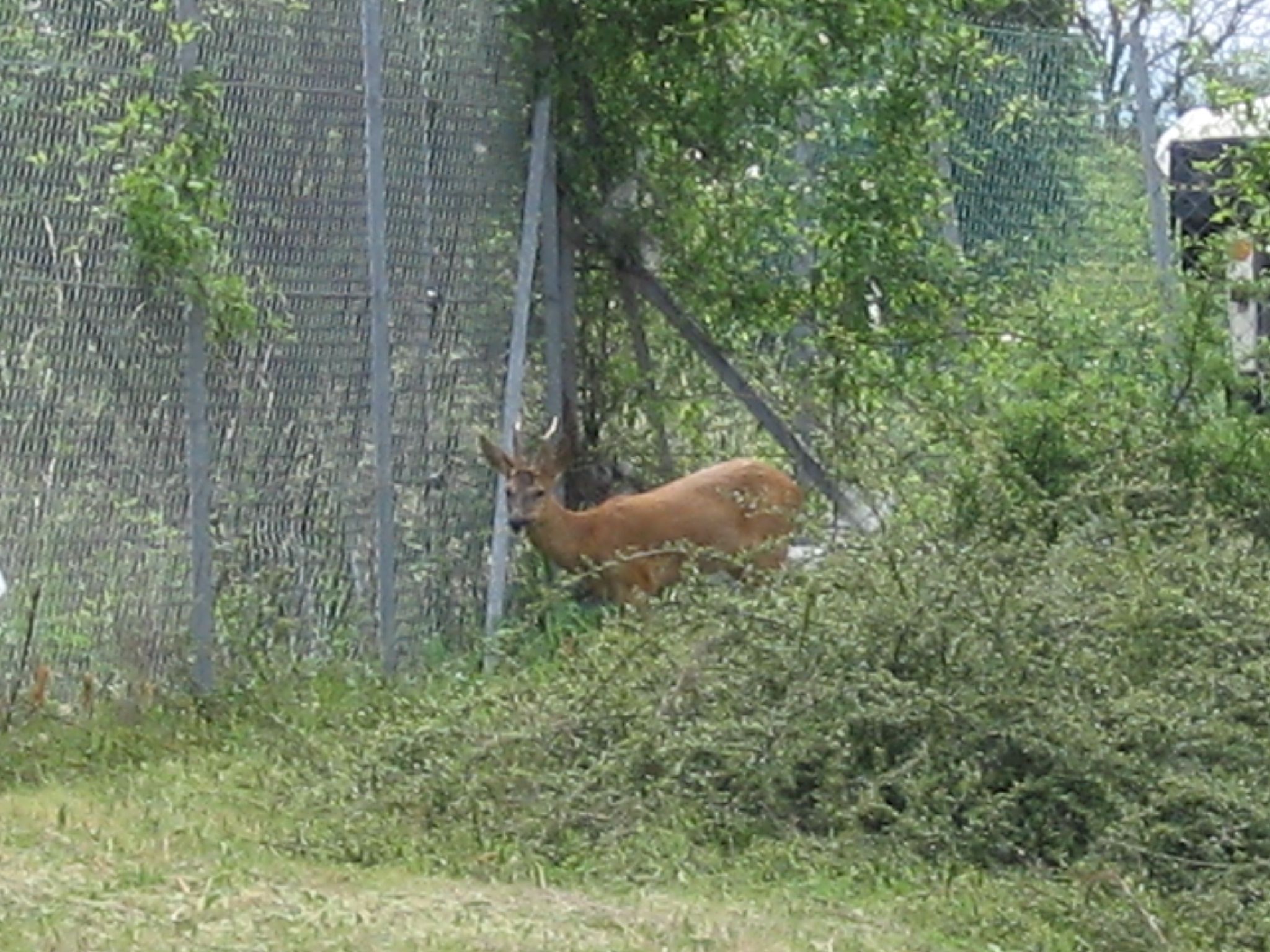 rencontre image et nature